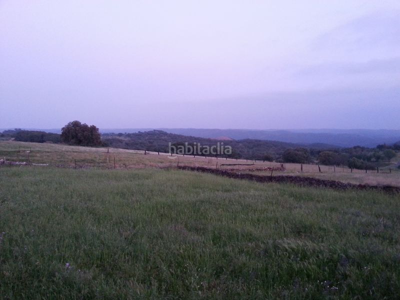 Foto 9cb8cae2-637f-449e-902c-b99282340ee6. Chalet in calle francisco delgado alonso 37 in Madroño (El)