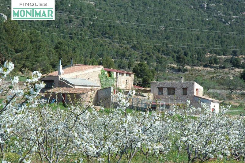 Foto 19901a9f-ce19-4759-8904-7083210fce55. Masia amb calefacció a Pontils