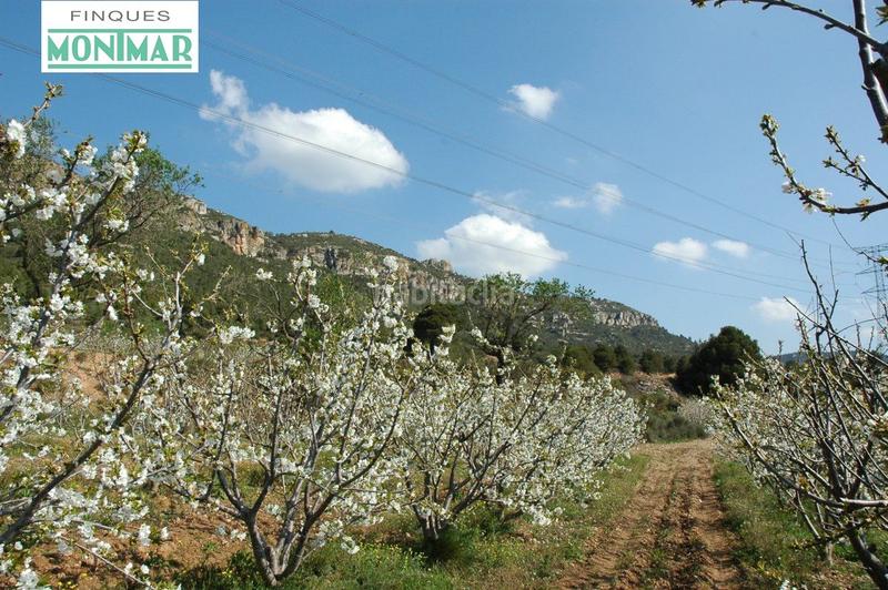 Foto 4bfce42e-41b6-4ea2-9ca9-d69f917a339a. Masia amb calefacció a Pontils