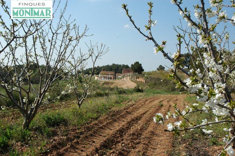 Foto 7c95dde4-4cda-438f-954e-1ea49409c619. Masia amb calefacció a Pontils