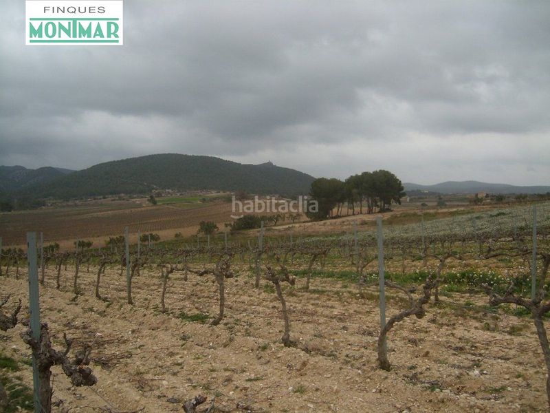 Foto 63c1c061-a22b-43da-bf0f-21101f9a9669. Masia a Sant Jaume dels Domenys