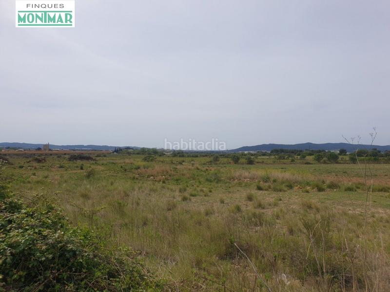 Foto 0890cb17-a6dd-4c56-a479-2bc4bbbdc060. Casale in Sant Jaume dels Domenys