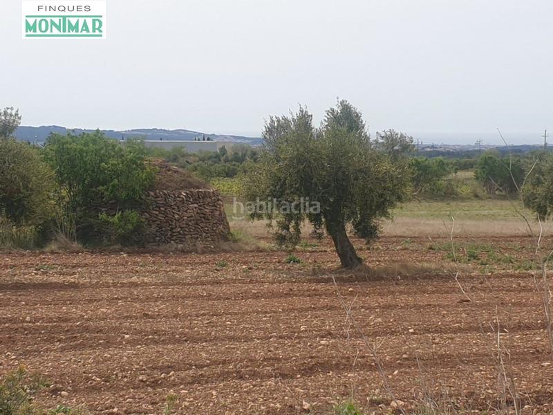 Foto 329402f0-719c-46ce-9ddf-ff5747ef0fb4. Casale in Sant Jaume dels Domenys