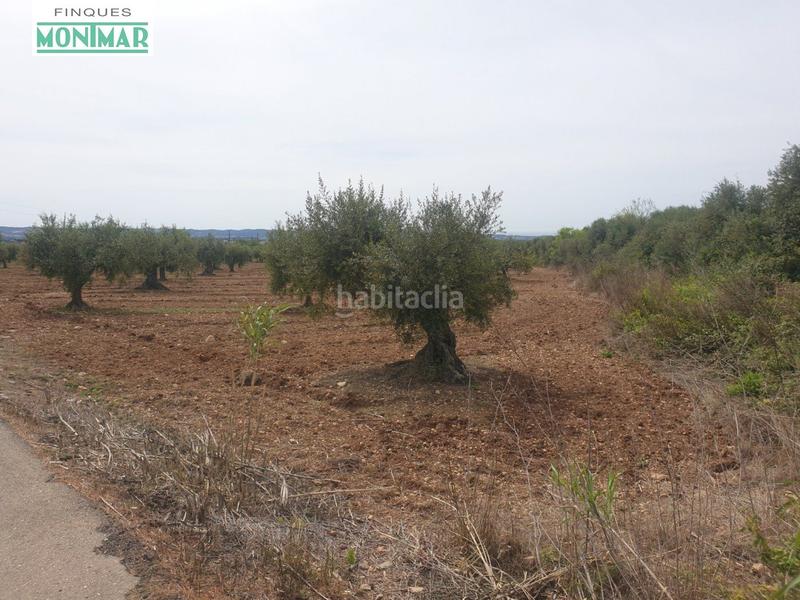 Foto 3c32353f-c992-433d-ad0f-2d0d88efb961. Casale in Sant Jaume dels Domenys