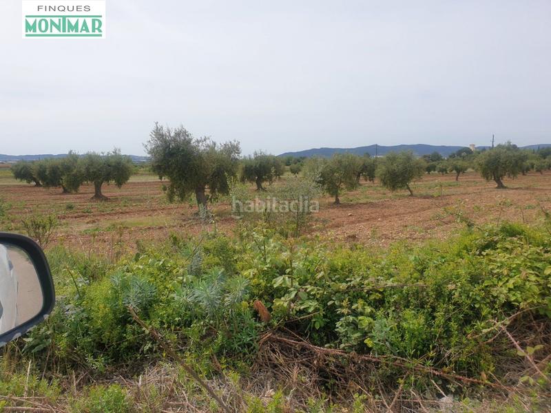 Foto 4d13a453-540f-4410-b359-38cdeadef2b2. Casale in Sant Jaume dels Domenys