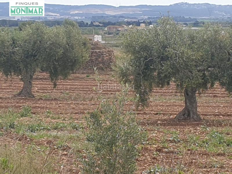 Foto 5c1f1568-6798-42ff-9592-03c039162445. Casale in Sant Jaume dels Domenys