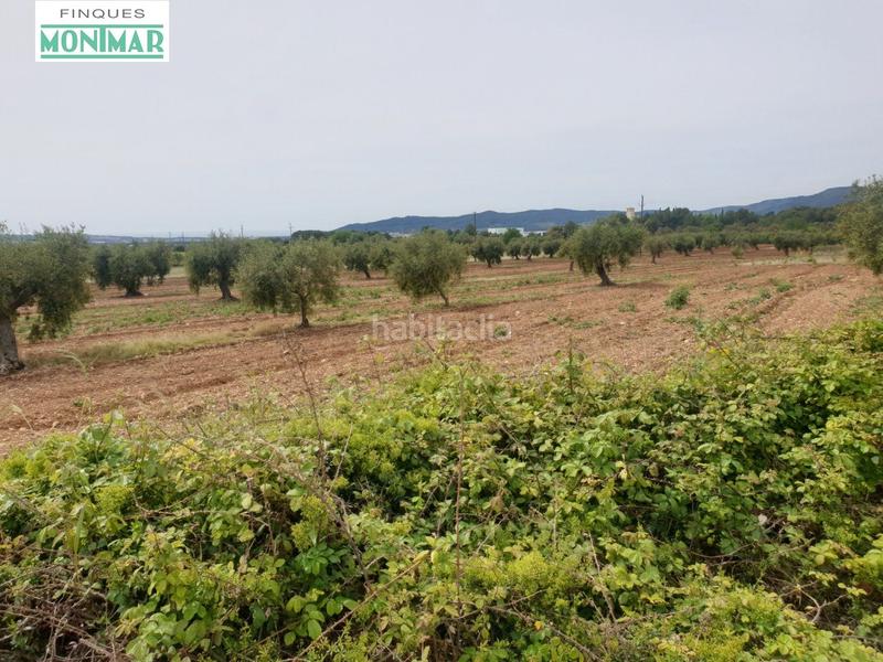 Foto 7b1363ab-41a9-4f8f-98ab-76f065812288. Casale in Sant Jaume dels Domenys