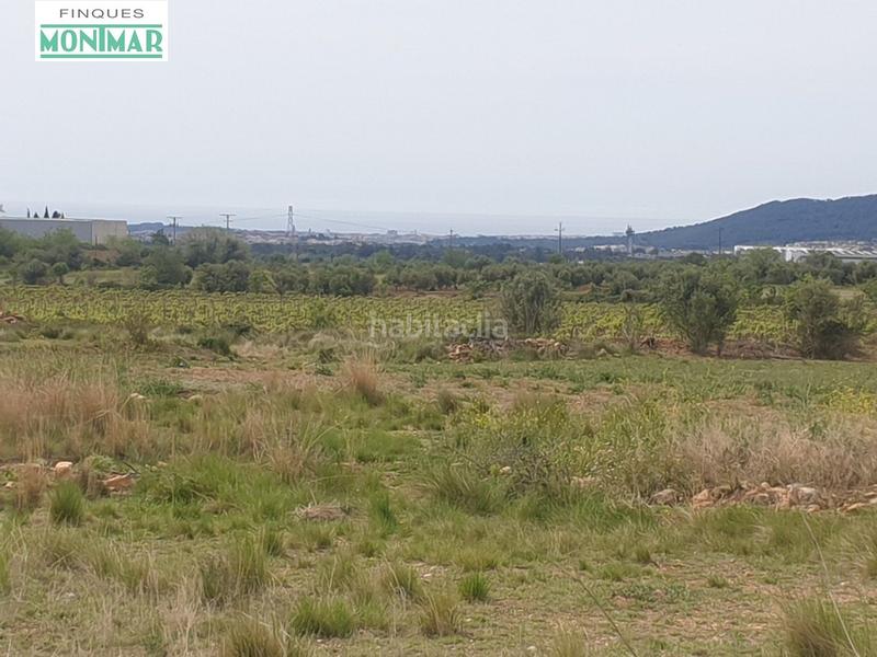 Foto a8787bc2-a64c-47e5-839d-04a83b019d8b. Casale in Sant Jaume dels Domenys