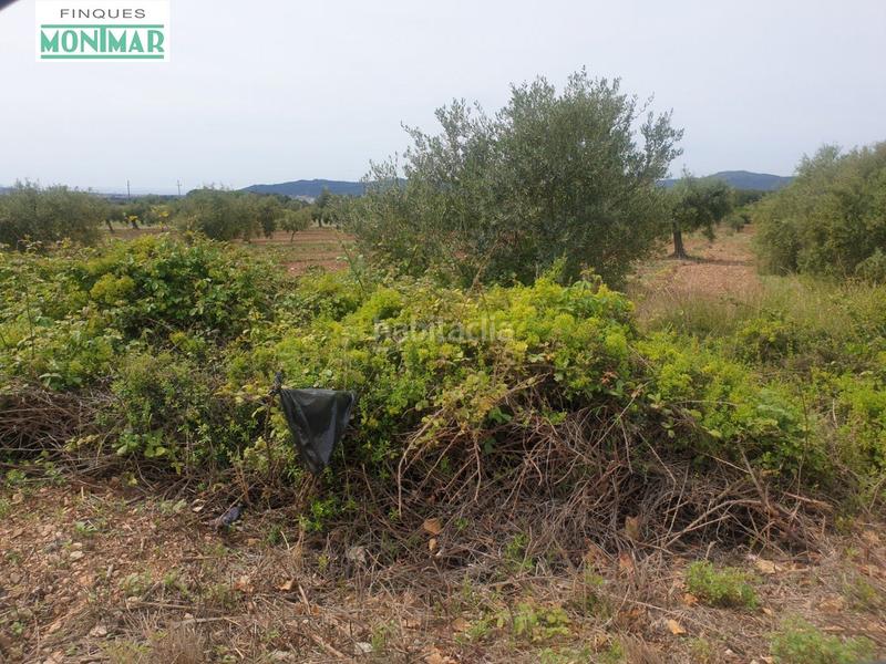 Foto ae2c126d-5502-4e82-ad81-6146532a0ff3. Casale in Sant Jaume dels Domenys