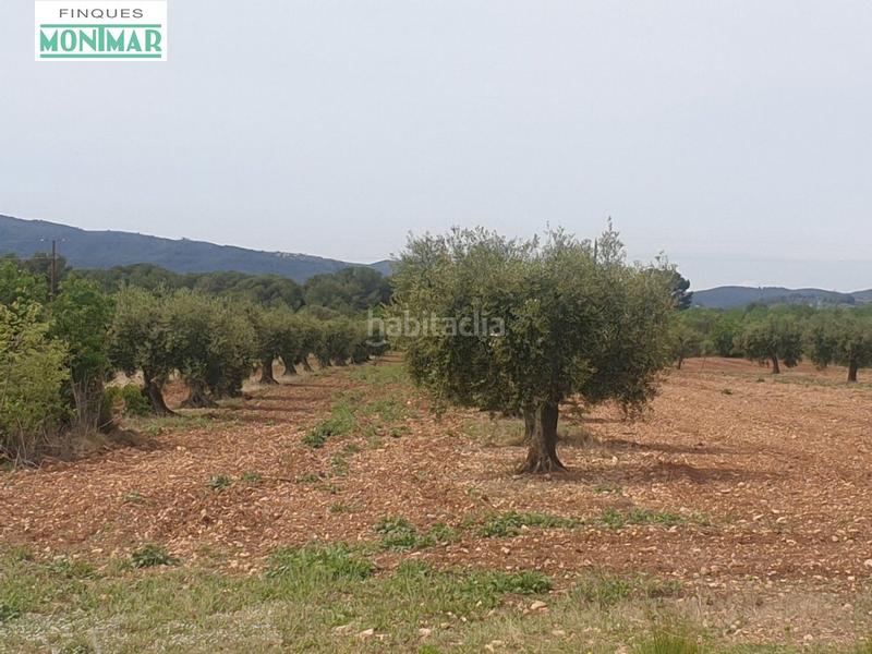 Foto be05f0f9-57a0-4f3c-afe7-8598a8a49a8a. Casale in Sant Jaume dels Domenys