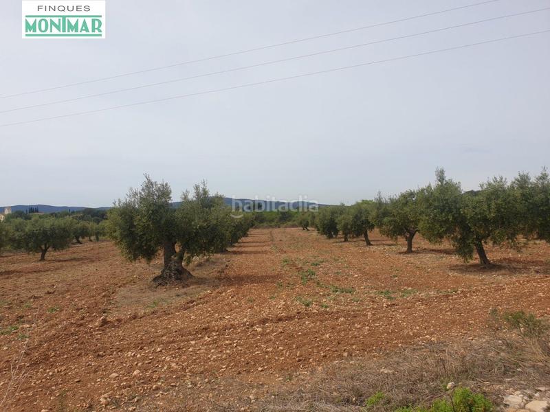 Foto d6f1da7e-265a-4c74-baeb-df3d092fa7b4. Casale in Sant Jaume dels Domenys