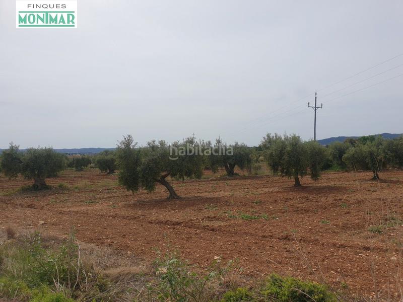 Foto daeeea04-c9bb-4fe6-9777-71b950b58c37. Casale in Sant Jaume dels Domenys