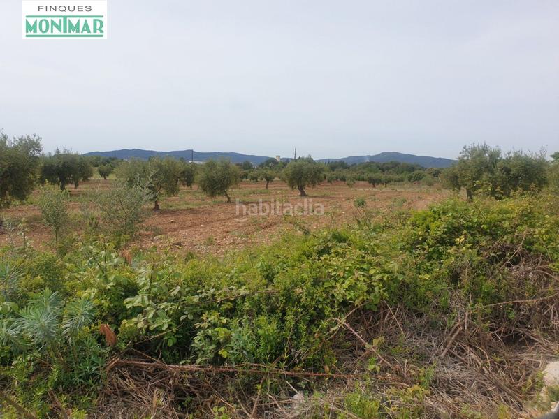 Foto e055b610-073f-44fc-8468-454d45155b5d. Casale in Sant Jaume dels Domenys