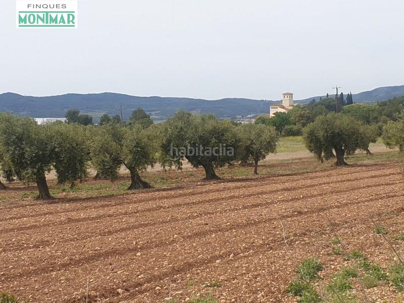 Foto effa5f33-928e-41ae-be3d-a30d72c035a7. Casale in Sant Jaume dels Domenys