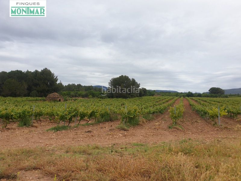 Foto 127004ba-b604-44f2-8a40-6a9997e333a8. Country house in Pla de Santa Maria (El)