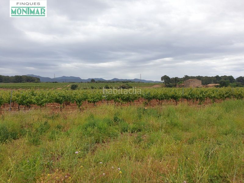 Foto 3183b697-72a4-430c-9881-08b7ab3e1aba. Country house in Pla de Santa Maria (El)
