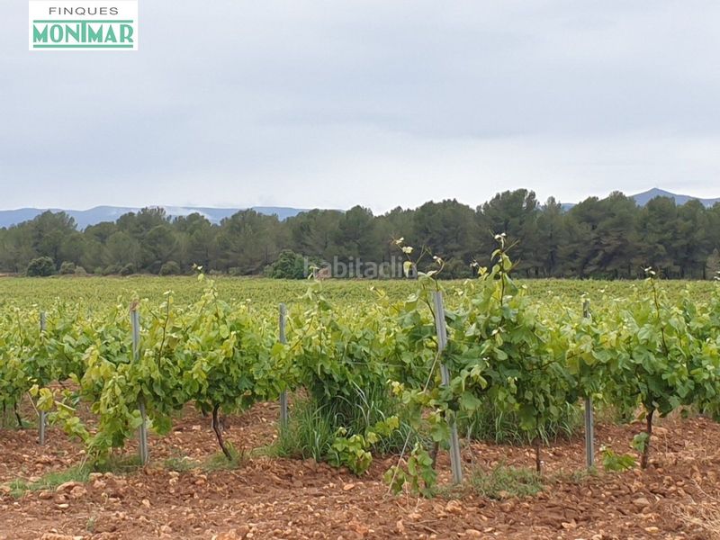 Foto 3dd64f3d-7341-47a5-9634-64704b6aad62. Country house in Pla de Santa Maria (El)