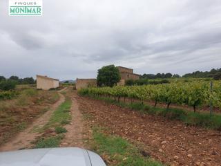 Mas à Pla de Santa Maria (El). Finca rústica en el pla de santa maría de 37,5 ha. con masía
