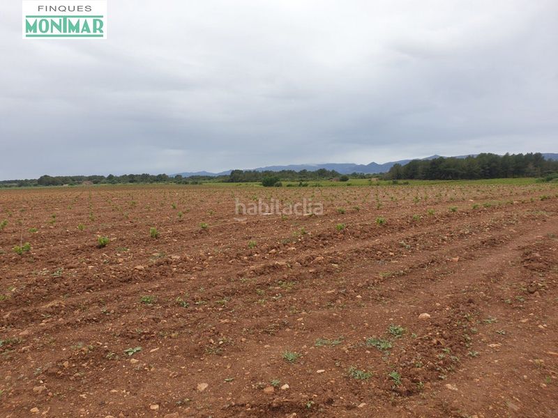 Foto b0e795bd-e03a-40b6-8cfd-54548be3aac3. Country house in Pla de Santa Maria (El)
