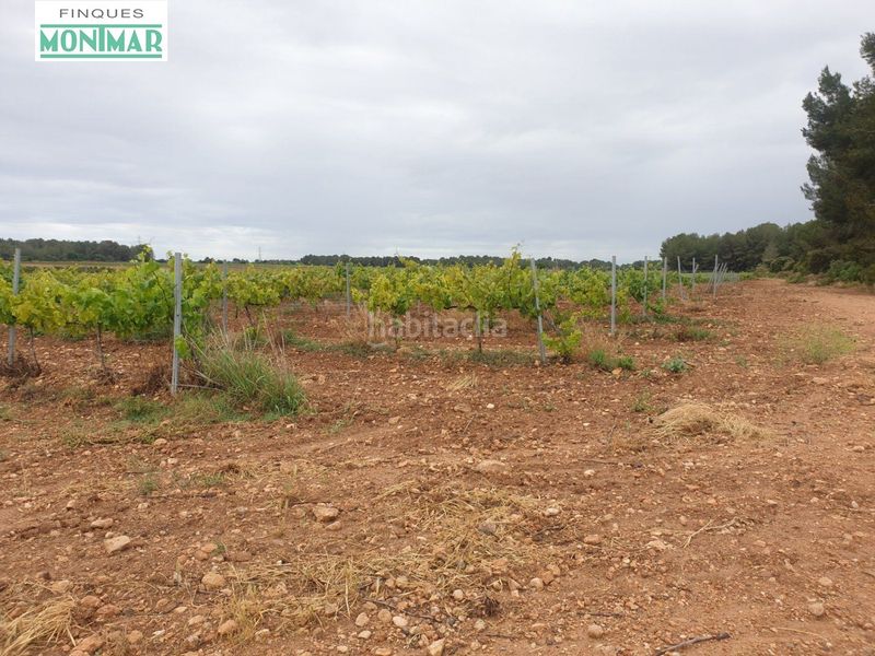 Foto d6760a6f-d57e-4b41-b6e5-57ddc0a2a231. Country house in Pla de Santa Maria (El)