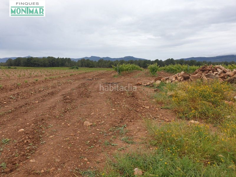 Foto f3a8b724-4157-4b7c-a291-780aacc4183d. Country house in Pla de Santa Maria (El)
