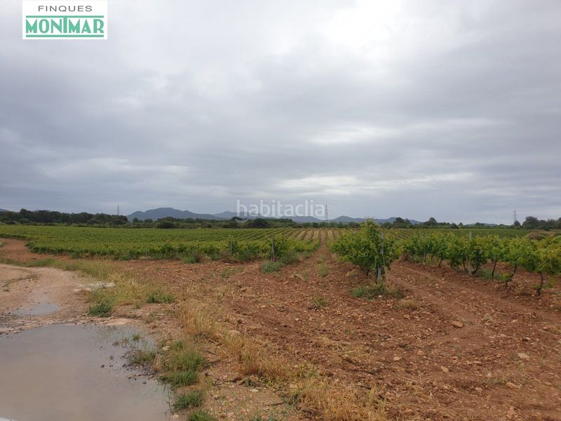 Foto f99839e4-880d-4d11-9097-774740be9a9a. Country house in Pla de Santa Maria (El)