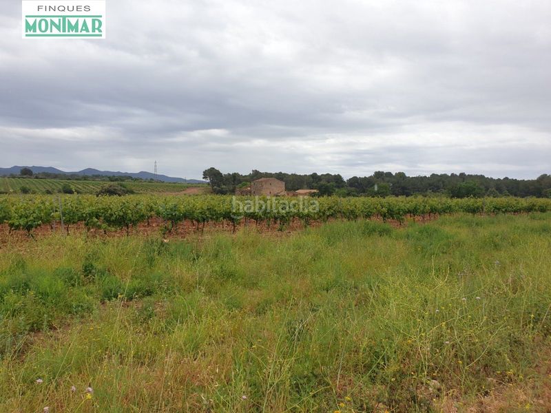 Foto fa331ade-6781-4e6a-8716-bcdcbc3fdbff. Country house in Pla de Santa Maria (El)