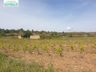 Masia a Vilabella. En venta finca rústica en vilabella de 20 ha. de viñedos emparra