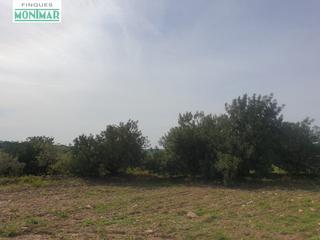 Masia a Secuita (La). En venta finca rústica en secuita de 5,29 ha.