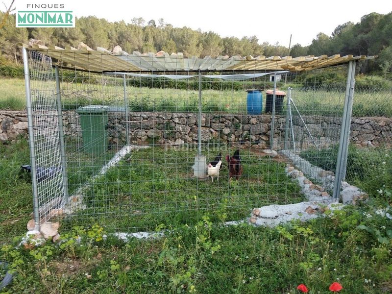 Foto 57b1dcbe-c872-4e9d-82cb-082540b33153. Masia amb piscina a Canyelles