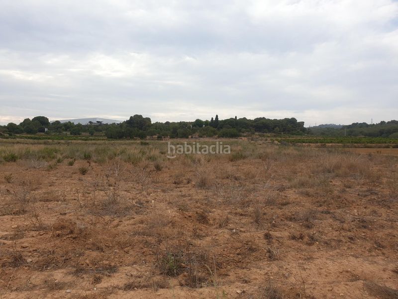 Foto 47a5f09c-7fb9-4b0c-bd88-f8ed1a2d2a63. Finca rústica a Centrevila Vilanova i la Geltrú