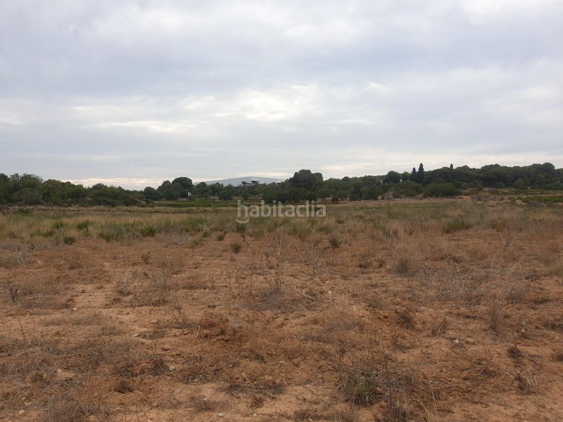 Foto 66eaa977-4335-45a5-b101-5a1c3689f755. Finca rústica a Centrevila Vilanova i la Geltrú