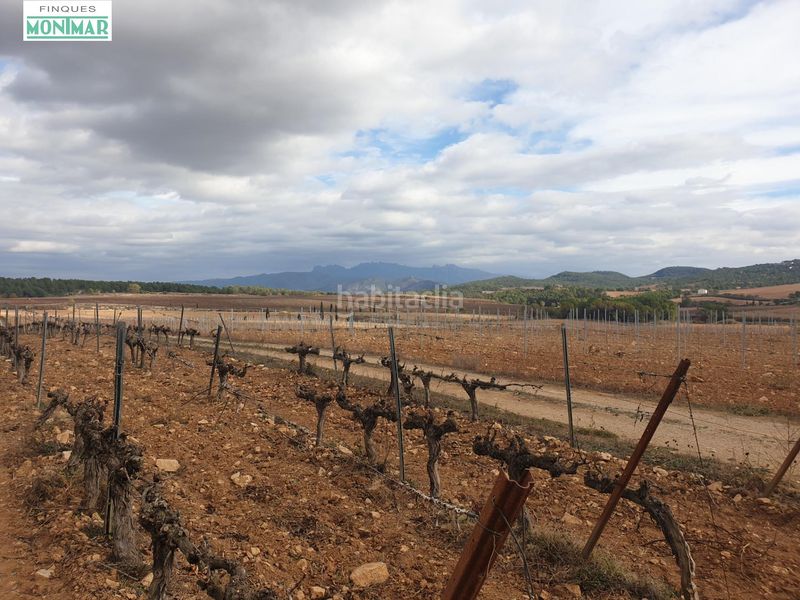 Foto 65fee105-a6da-4de5-9d84-66a625c9e150. Masia a barceloneta - molí d´en rovira Vilafranca del Penedès