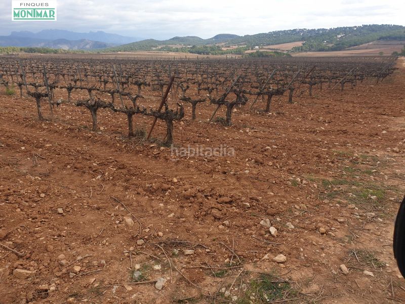 Foto 67843cfe-f8a9-4167-8b47-e5e7878b6fe8. Masia a barceloneta - molí d´en rovira Vilafranca del Penedès