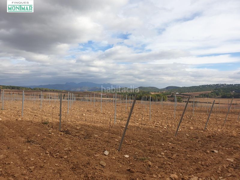 Foto fe53d4f4-ac1c-4e4a-866a-a6a51463aa07. Masia a barceloneta - molí d´en rovira Vilafranca del Penedès