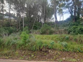 Residential Plot in Olivella. En venta parcela en la urb. mas mestres de olivella de 1.348 m2