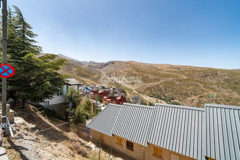Foto c342fc34-0fd1-4622-be84-02271f09bdf4. Estudi a Zona baja Sierra Nevada