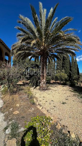 Foto 69ea13d0-6c17-4233-96bc-e4e8833e704f. Casa amb piscina a Benicolada - Las Adelfas Calp