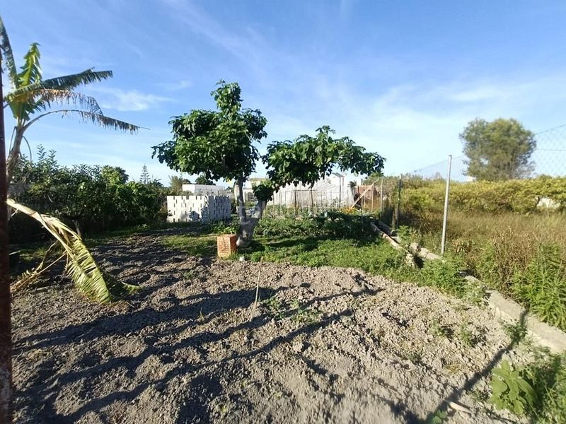 Foto b1393daf-3f99-4619-aea8-c7aa18622609. Casa amb calefacció aparcament a Oliva pueblo Oliva