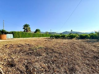 Terreny residencial  Camí del mig 64. Terreno rústico llano de 1.752 m en pedreguer