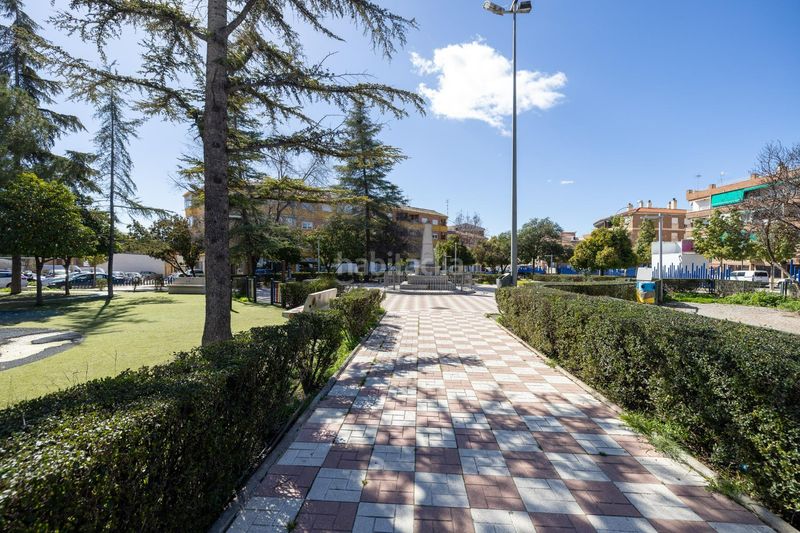 Foto 75b2cd25-d924-43f8-9d3c-3d5141e677e4. Pis a Albolote