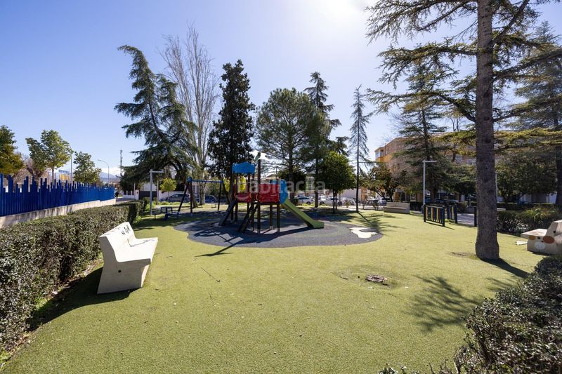 Foto bc14359a-f26b-4ce8-b679-faa5a2b6c64b. Pis a Albolote