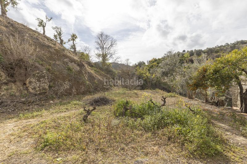 Foto 10bd7759-8628-4428-86fb-f4da3e69fc22. Finca rústica a Valle (El)