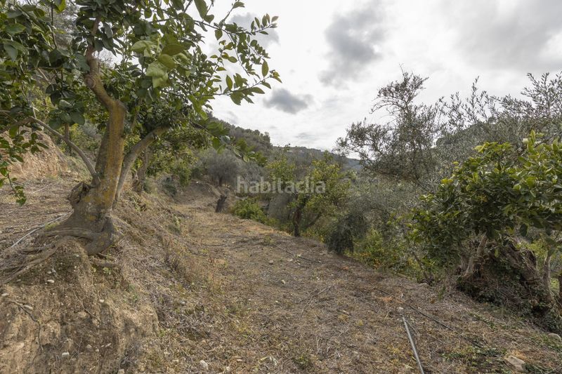 Foto 635bd05c-7b06-45b1-9562-009d5d5d45c2. Finca rústica a Valle (El)