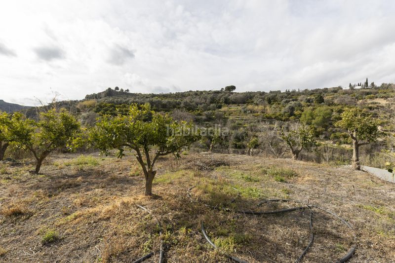 Foto 641ad680-cfb9-42a0-b724-d24693a14cac. Finca rústica a Valle (El)