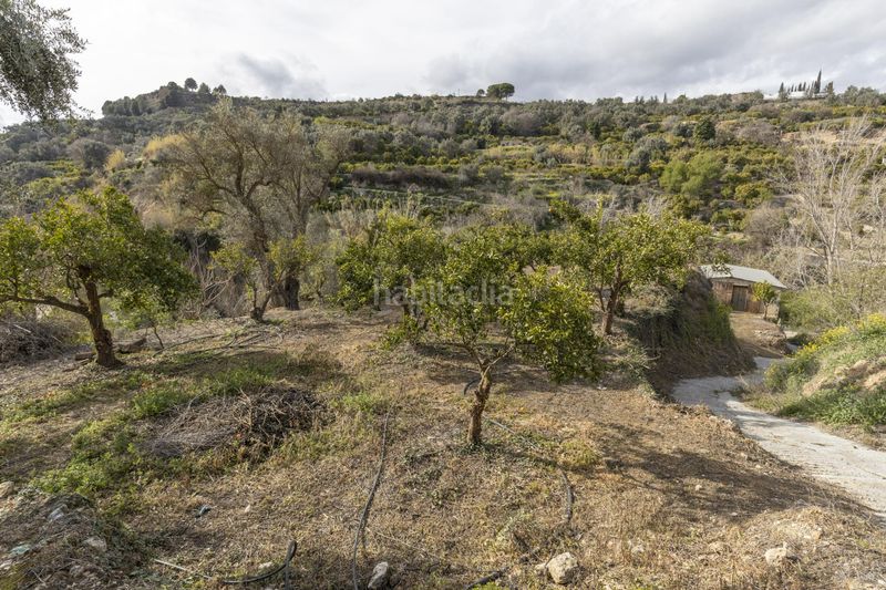 Foto 9a76ae78-ac58-4bf2-8c27-3c0ad6e644c8. Finca rústica a Valle (El)