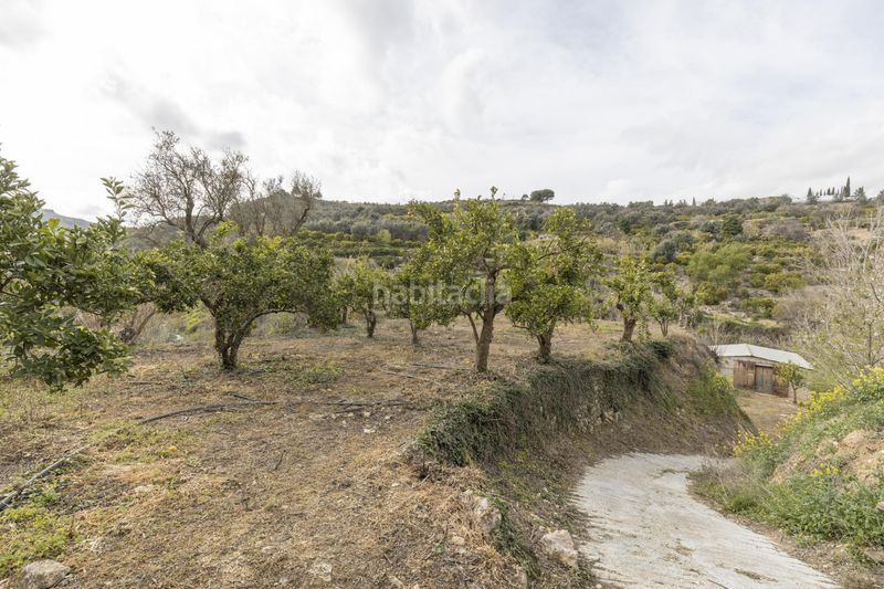 Foto b82aa856-6a5d-4a84-a979-baab294f54ec. Finca rústica a Valle (El)