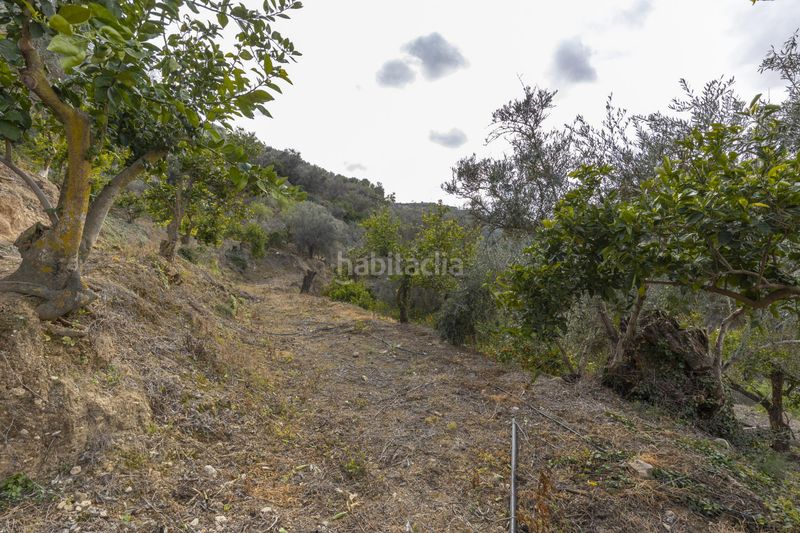 Foto fdcba746-192b-4a54-862f-a77355b1c837. Finca rústica a Valle (El)
