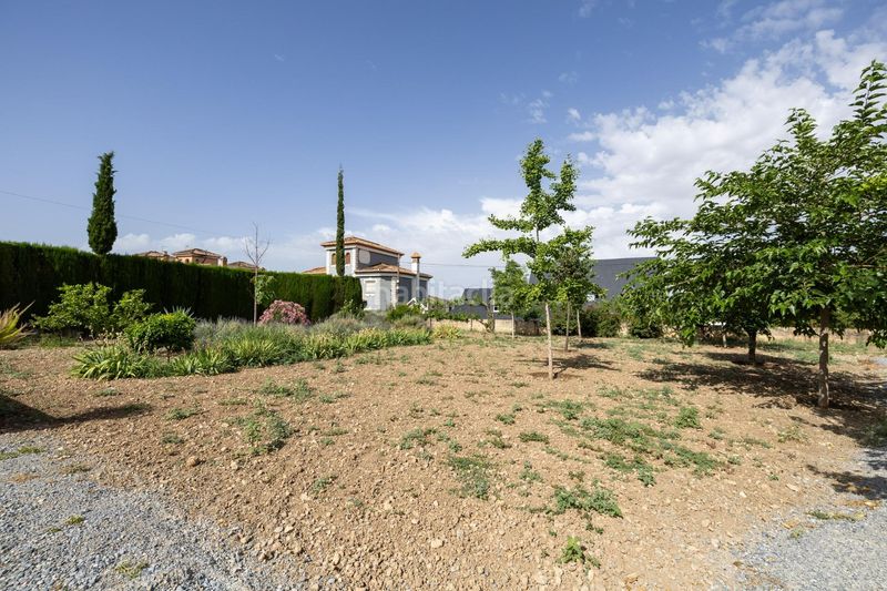 Foto b5507bed-5868-45d0-9e42-1d11ec56bd42. Terreny residencial a Barrio de la Vega Monachil
