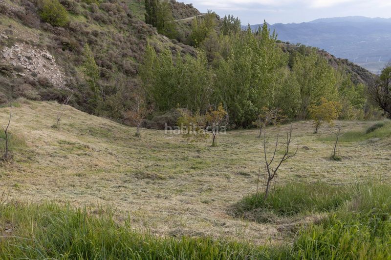 Foto 3a9a0828-0d87-4bc6-af3d-a59b87aa6119. Masia amb xemeneia a Nigüelas